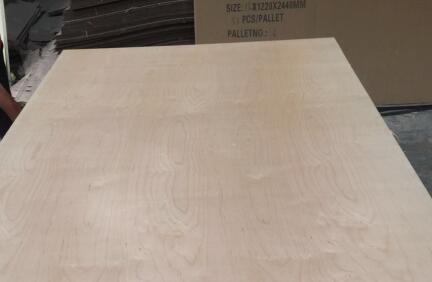 Quality White Birch UV Coated Plywood Poplar / Eucalyptus Core Type 2.5 - 20mm Thickness wholesale