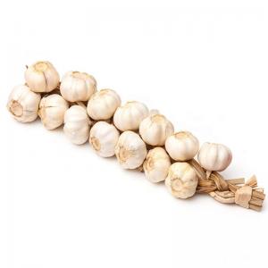 Quality Solo Garlic Seed/ Pure White Garlic Fresh/ Aglio Garlic wholesale