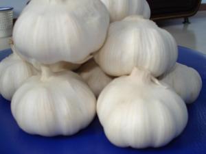 Quality High Quality New Crop/Fresh Garlic - Chinese Shandong Garlic wholesale
