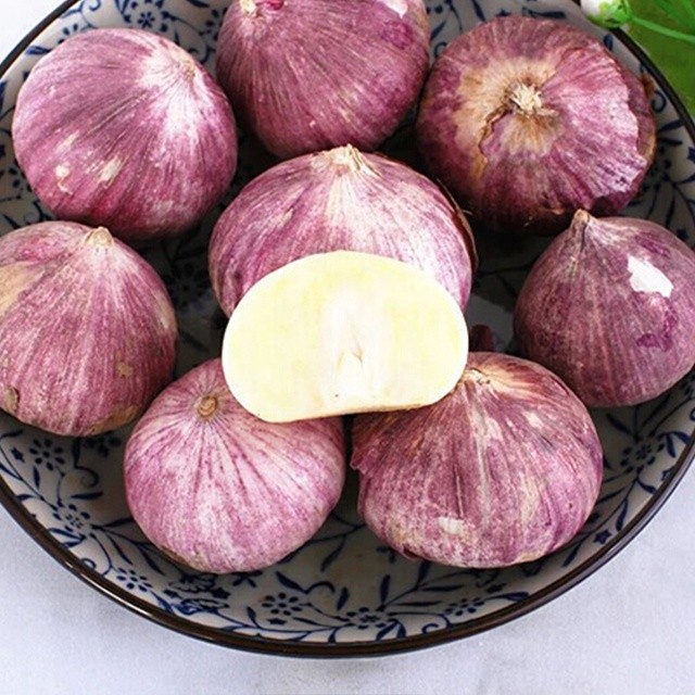 Quality New Crop Fresh Garlic Purple Skin(4kg/mesh bag) wholesale