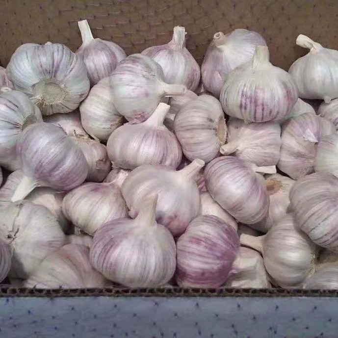 Buy cheap Quick Freezing Fresh Garlic from wholesalers
