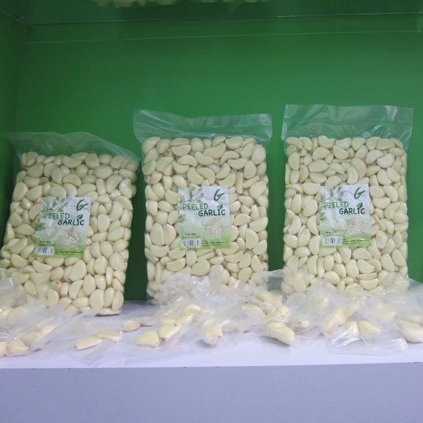 Quality Chinese fresh peeled garlic, vacuum packed peeled garlic cloves wholesale