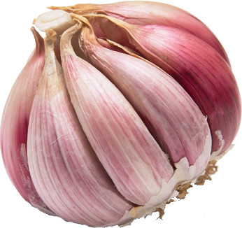 Quality Normal Red garlic 4.5cm-5.0cm wholesale