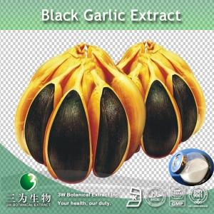 Quality Chinese anise extract wholesale