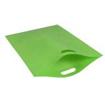 Reuse Promotional Biodegradable Nonwoven Bag