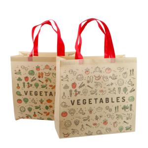Quality Non Woven Shopping PLA Gift Bag wholesale