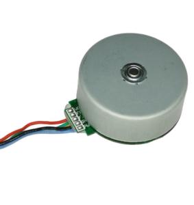 Quality bl5025 24v outer rotor bldc brushless dc motor for massage gun long life low noise bl5025o wholesale