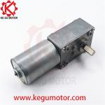 DC 6v 12v 24V Reduction Gearbox 58mm*40mm Diameter Brushless Worm Gear PMDC
