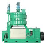 Sunflower Sesame Seeds Peanut Oil Press Machine