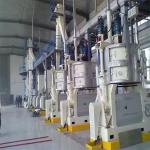 Pomegranate Seed Oil Extraction Machine