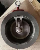 Quality CHECK VALVE wholesale