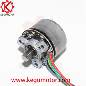 Quality BL3025 12V DC Fascia Gun BLDC Motor Massager High Torque 30mm 35mm 37mm 38mm 39mm 40mm Brushless DC Motor BL3025O wholesale