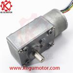 High torque 24V 5300 rpm 40mm worm geabox motor reduction motor with good price