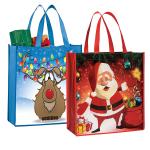 Reusable PP Nonwoven Shopping Bag Recycled Cheap Price Wholesale