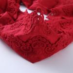 Underwear Garment Embroidery Lace Fabric