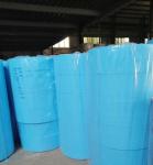 PLA/Pet 100% Total Biodegradable Nonwoven Fabric Production Line in Nonwoven