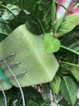 EVE Sponge