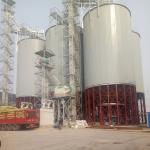 harvest season paddy wheat corn soybean grain storage silo
