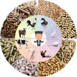 Small Complete Animal Feed Pellet Machine Production Line High Quality