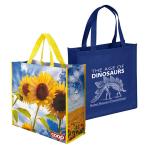 New Fashion Eco Friendly Promotional Lamination Nonwoven Bag