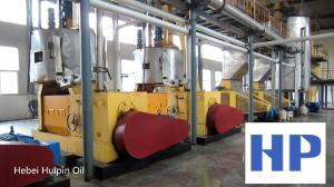 Quality Oil Press Press Oil Machine Sunflower seed 100TPD large capacity oil plant line wholesale