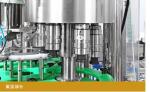 CE Mango Juice Production Line Automatic Hot Fill Bottling Equipment