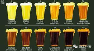 Quality Hotel Pub Brewing System 2000L Brew Pub Equipment For Sale wholesale