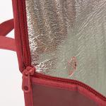 China Manufacture Eco Friendly Bag Waterproof Thermal Non Woven Insulated