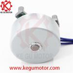 37mm 12v 24v bldc external rotor brushless dc motor BL3716 BL3716O for Massage