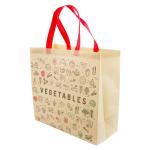 Non Woven Shopping PLA Gift Bag