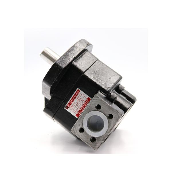 Cheap Forging Part Battery Powered Oil Gear Pump Slurry Hydraulic Gear Hyundai For Dump Truck for sale