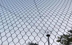 Quality Anti Corrosive Stainless Steel Cable Mesh Ss316 Stel Wire Zoo Mesh Flexible X Tend Mesh wholesale