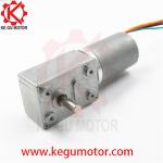 32mm brushless Worm Gear Motor 6v 12V 12 Volt 24v Reduction Gearbox Motor for