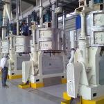 Oil Extraction Machine Walnut, Moringa Press Oil Machine Price Oil Expeller