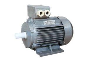 Quality Y2 series three phase induction motor wholesale