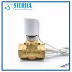 Dn15 Dn20 Dn25 Motorized Brass Water Valve , Two Way Electric Water Flow Control