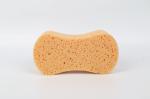 Car Wash Sponge