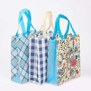 Quality Reusable PP Non-Woven Fabric Shopping Bag Eco Packaging PP Nonwoven Shopping Bag Bag with Logo wholesale
