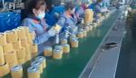 Filter Manufacturer Supply 04152-31090 Bulk Oil Filters Auto Spare Parts Oil