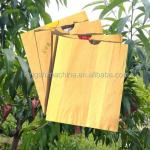 Mango Growing Paper Bag Manufacturing Machine , Fruit Protective Kraft Paper Bag