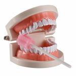 OEM Dental Consumables Pink Disposable Teeth Cleaning Swabs