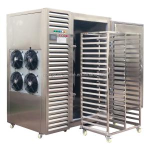 Quality Frozen french fries freezer dryer machine fruit meat freeze drying machine wholesale