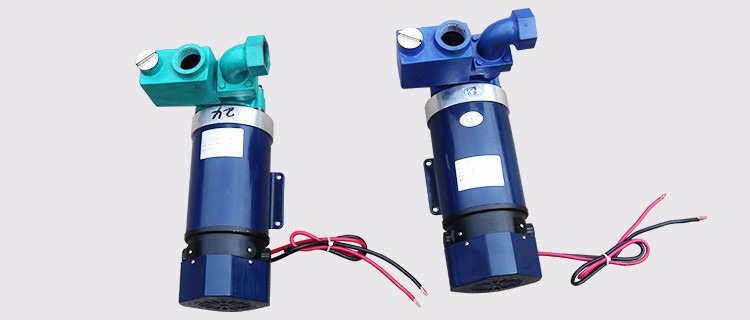 3/4" Gasoline Engine Of Electronic Fuel Pump BJJ-20-PJ 12v 24v 220v