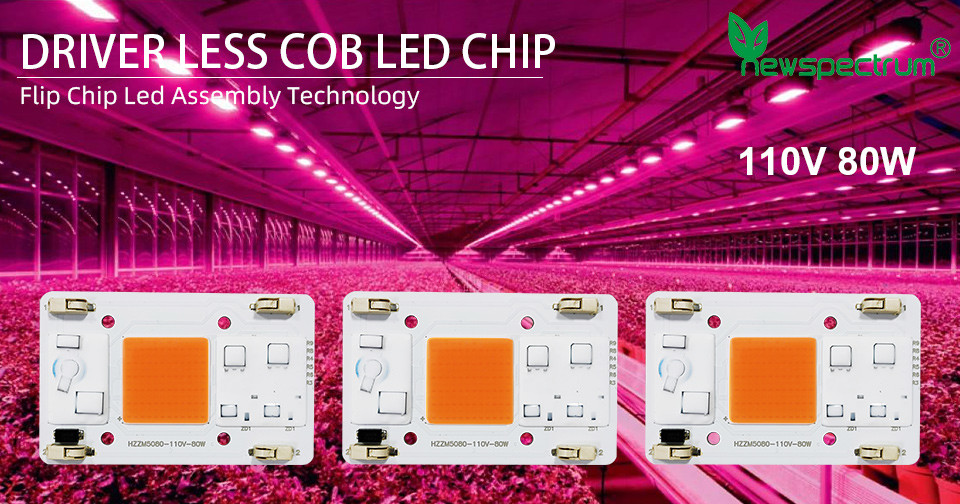 Solderless Led Lamp Beads AC COB 80W Integrated Projection Light Chip