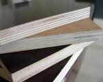 factory price 18mm film faced plywood poplar/birch plywood