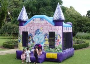 Quality Commercial Princess Themed Inflatable Bounce House With Hand / Digital Printing wholesale