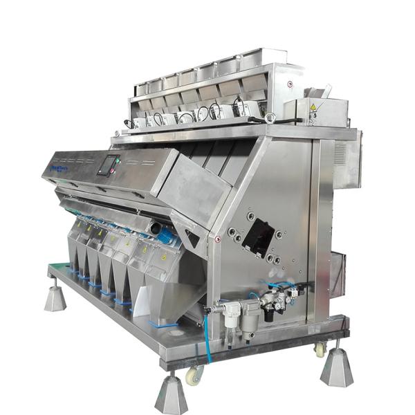 Intelligent salt color sorting machine, salt color sorter, stainless steel