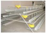 Low Carbon Steel Wire Kenya 96 Birds Layer Chicken Battery Cages For Poultry