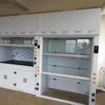 Walk In Modern Laboratory Furniture Fume Chamber In Chemistry Laboratory