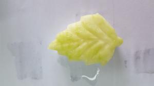 Quality Frozen Winter Melon(White Gourd), leaf-shaped, flower-shaped etc. for food decoration wholesale